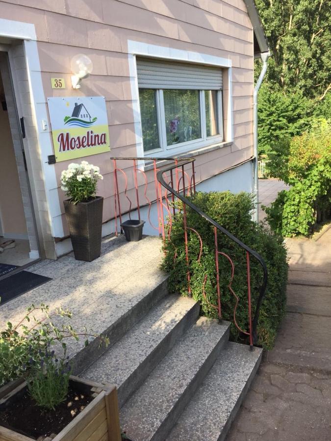 Moselina Gaestezimmer Sankt Aldegund Eksteriør bilde