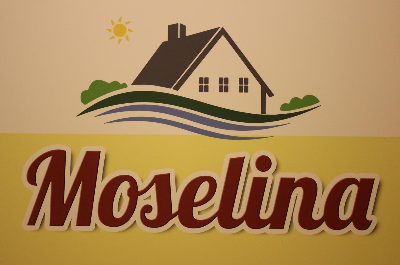 Moselina Gaestezimmer Sankt Aldegund Eksteriør bilde